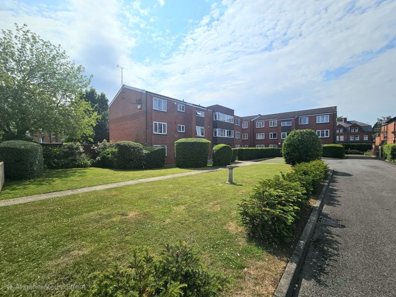 Main Image